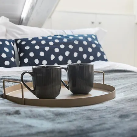 Mole White - Splendida Mansarda Davanti Mole Antonelliana